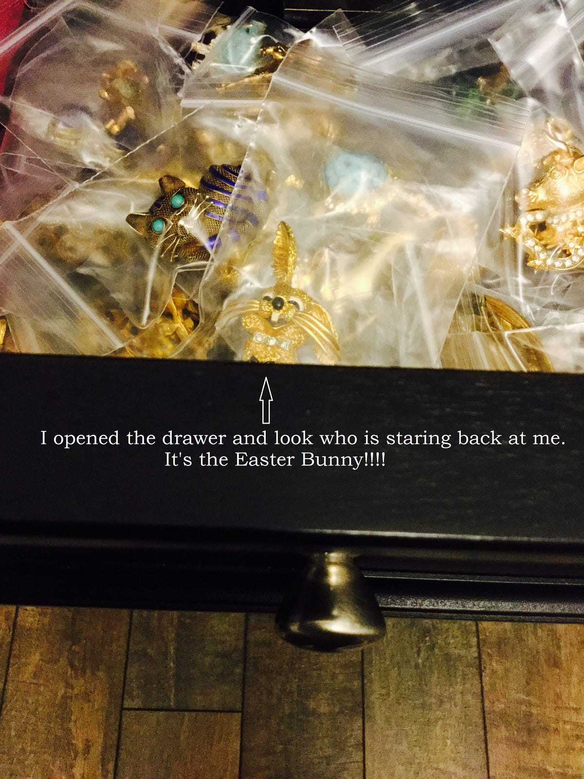 Where did the Easter Bunny come from & how did he get in my drawer