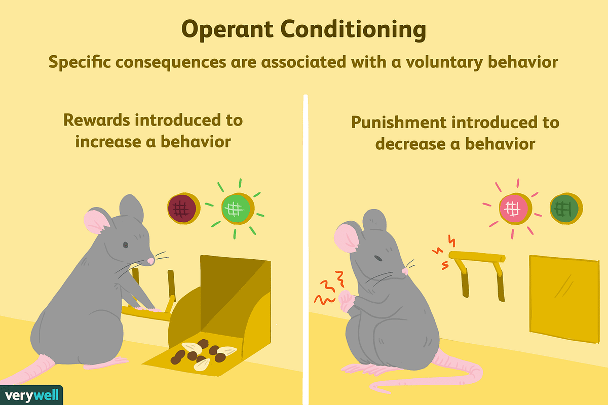 From Pigeons to Media — The Influence of Operant Conditioning | by Tiffany  Carey | Interactive Designer's Cookbook | Medium