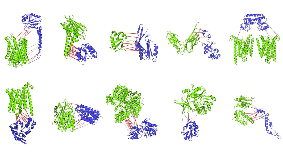 Proteins that work together, evolve together by eLife Life’s