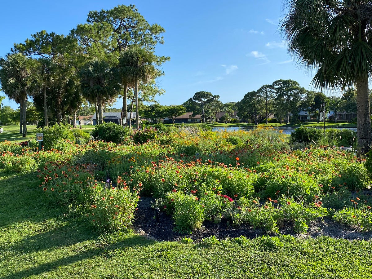 The Places I Call Home. Each one nurtures and supports me by John C