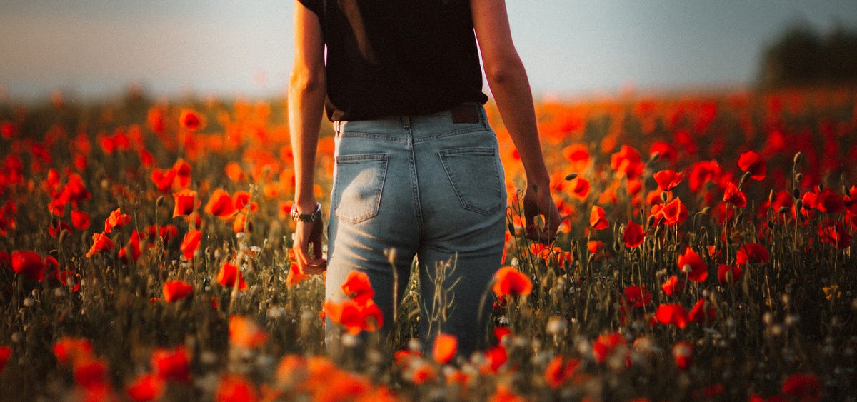 How Many Red Flags is Too Many?. Ever look back at your search history