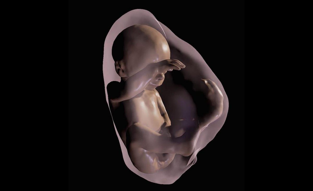 Researchers found a way to watch unborn babies in virtual reality