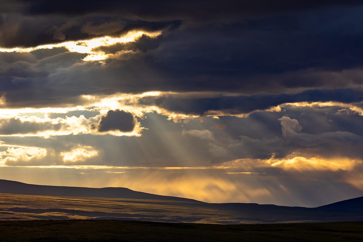 The Arctic National Wildlife Refuge Needs To Be Permanently Protected ...