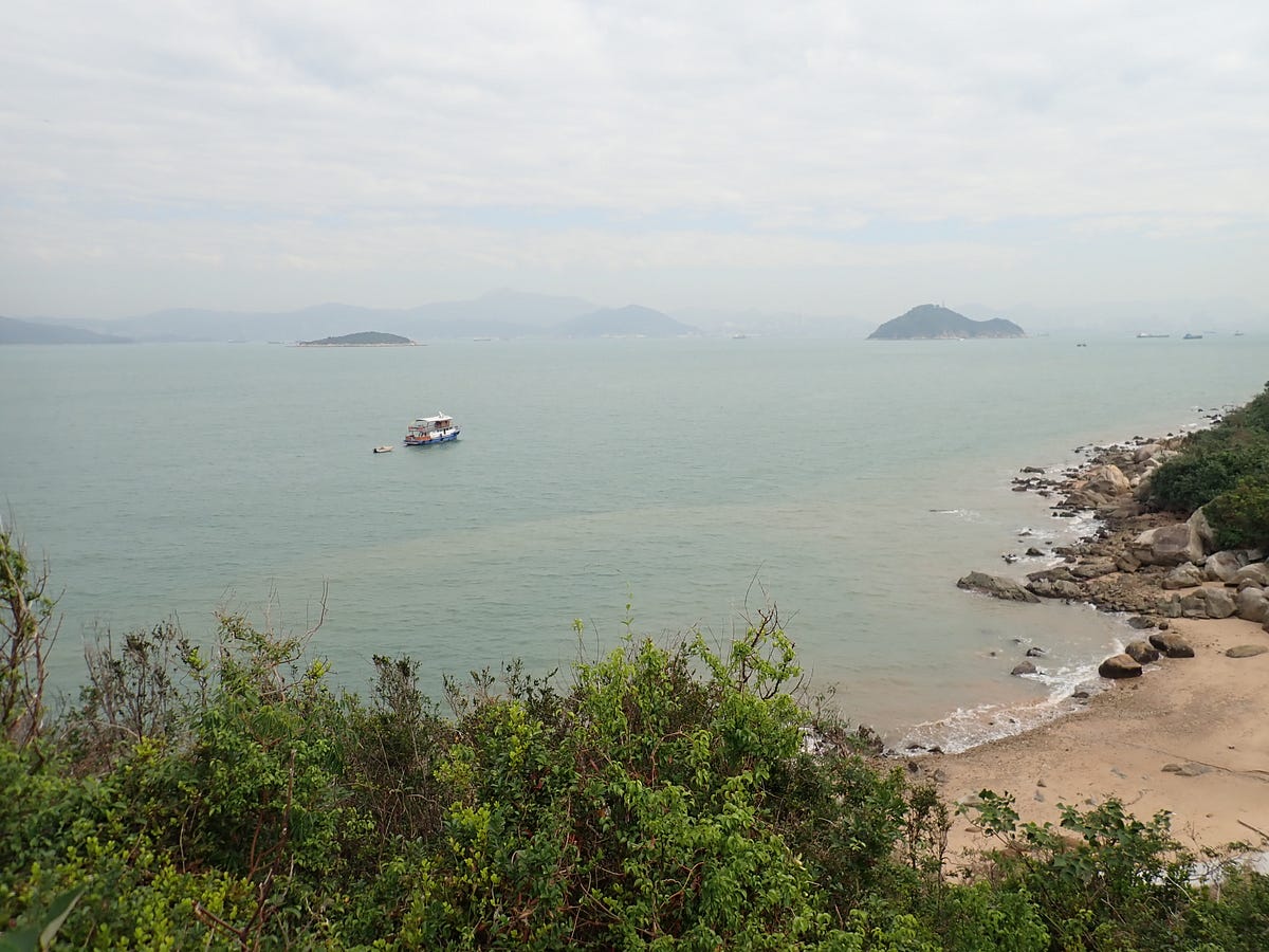 Reclaiming Hong Kong’s Marine Future | by WWF HK | Panda blog @WWF-Hong