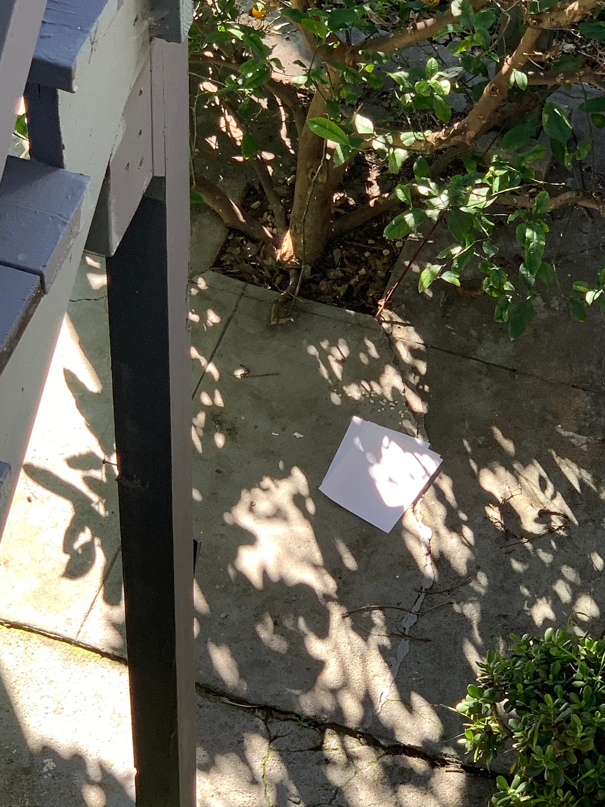 Saturday Deck Writing (January 26, 2019) by Lisa Clapper Medium