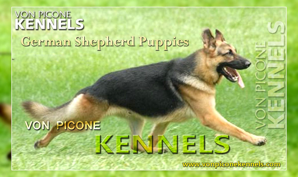 von german shepherd breeders