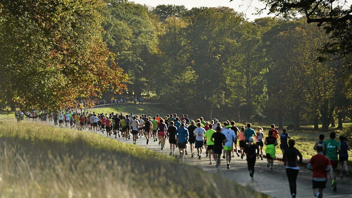 The Dublin City Marathon, 2017. The Data of the SSE Airtricity Dublin
