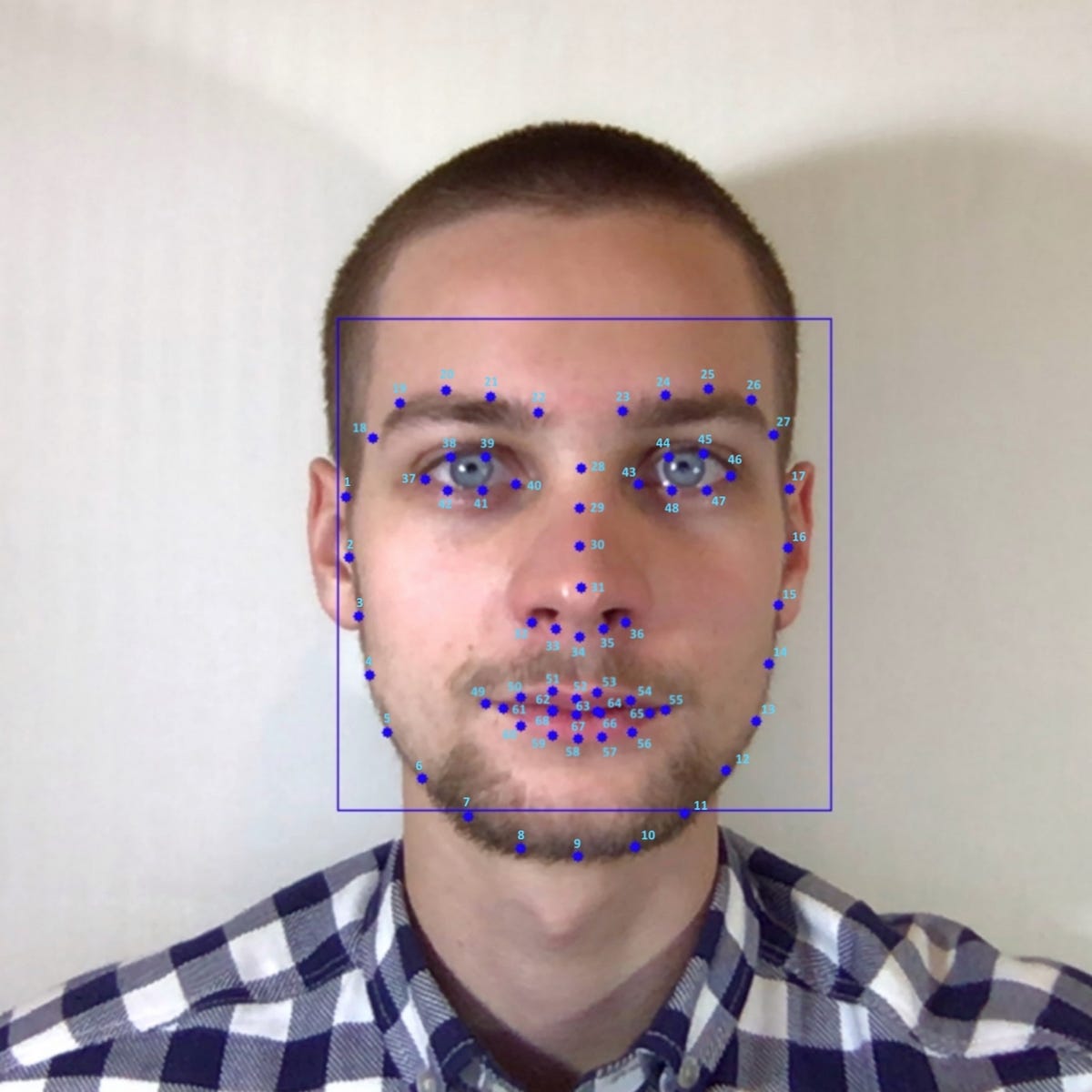 Поиск контрольных точек с использованием Python, OpenCV и DLib.