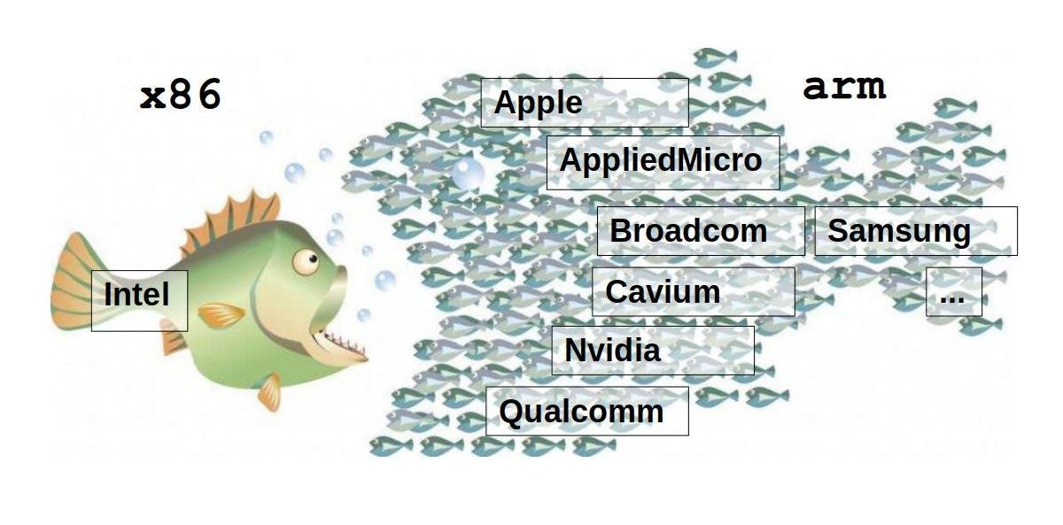 Review of an ARM-based cloud server | by Gabriel Damour | CAMS Engineering