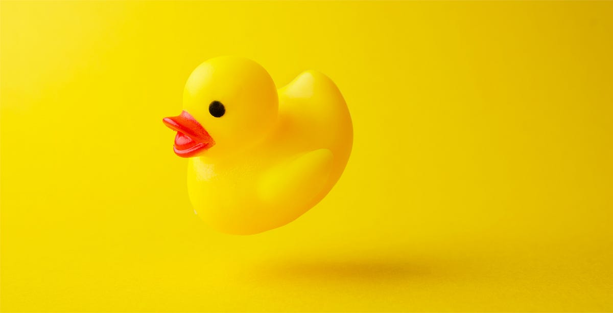 designer rubber ducks