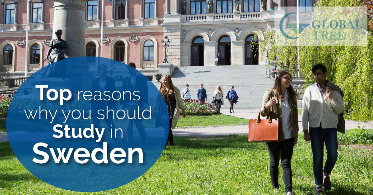 Best reasons to Study Abroad in Sweden Universities | by Global Tree |  Medium