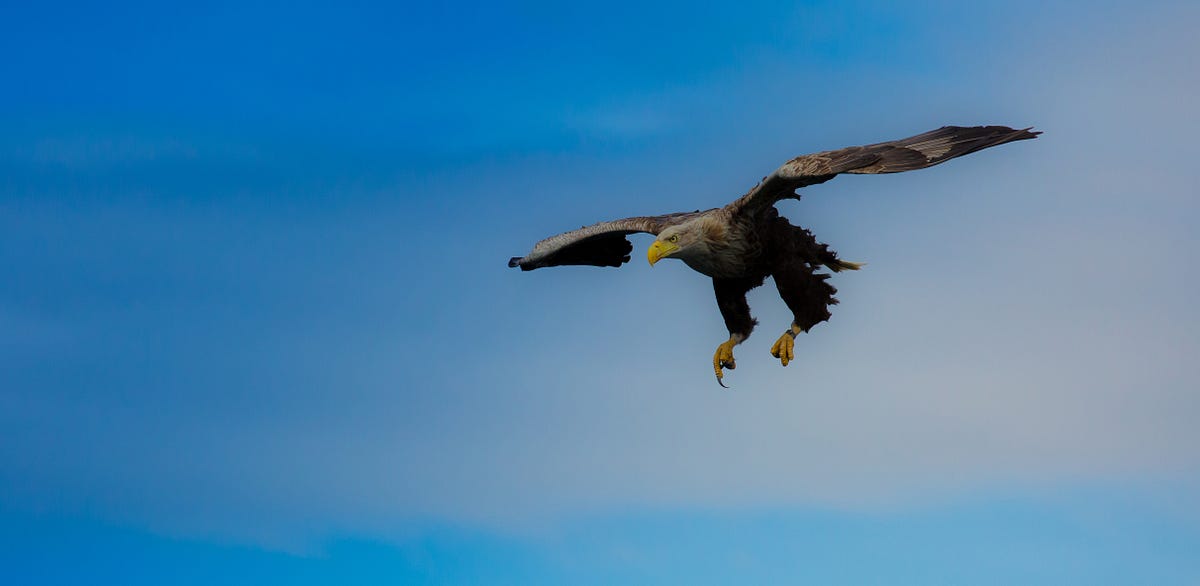 Addressing Executive Swoop-Ins - How to handle Executive Requests Addressing Executive Swoop-Ins - How to handle Executive Requests