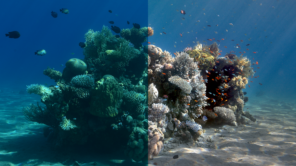 Sea-Thru: Removing Water from Underwater Images