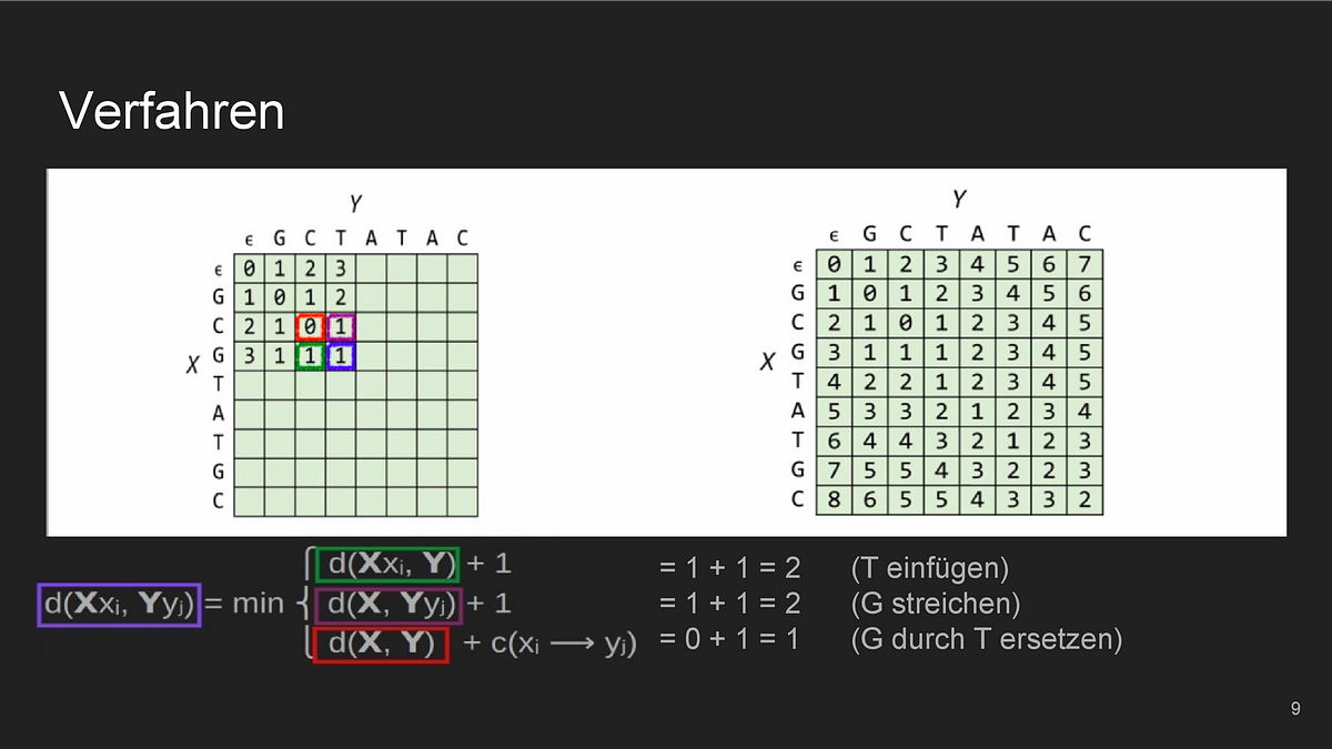Evolutionäre Distanz mit dynamischer Programmierung | by ...