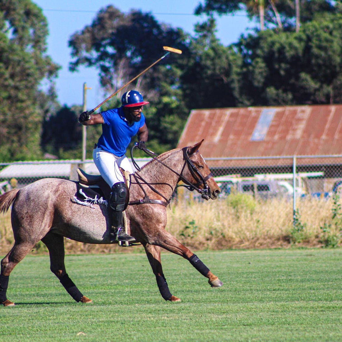 After Dedicating One Year and over 100 Hours to Playing Polo Here's What I  Learned and Would Like to Share | by Dale B. Johnson | Medium