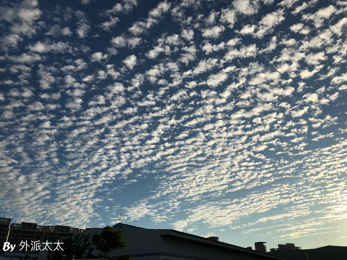 心得 遠嫁高飛 從起幸福快樂 Mo Ptt 鄉公所