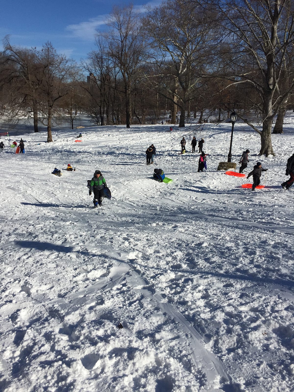 Sledding in Central Park. What City Kids Don’t Know About the… | by Ted ...