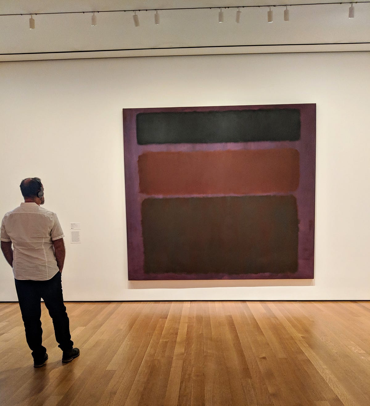 Can Mark Rothko’s №16 (Red, Brown, and Black) (1958) Be Appreciated ...