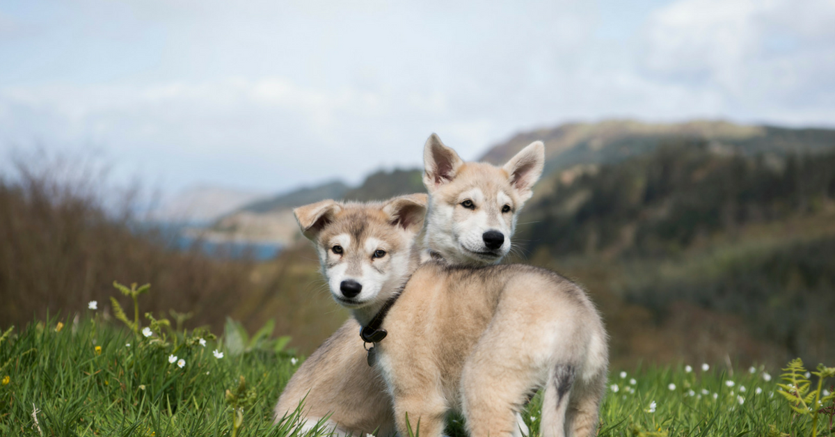 Produtores De Outlander Dao Uma Super Antecipada Previa Da 4ª