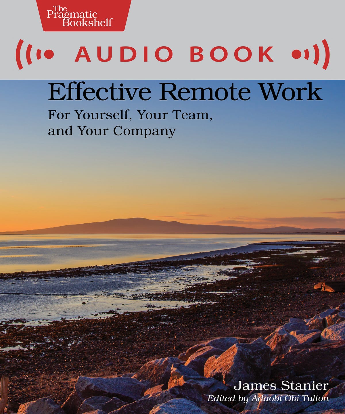 Effective Remote Work. For Yourself, Your Team, and Your… | by Margaret  Eldridge | The Pragmatic Programmers | Oct, 2022 | Medium