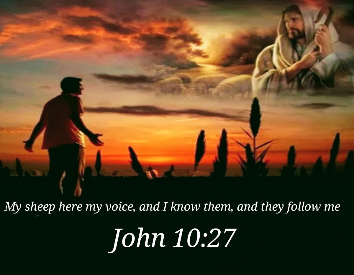 My Sheep Hear My Voice And I Know Them And They Follow Me John 10 27 Keith Mcgivern Medium