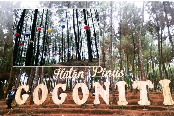 6 Objek Wisata Hutan Pinus Yang Paling Kekinian Di Jawa Timur