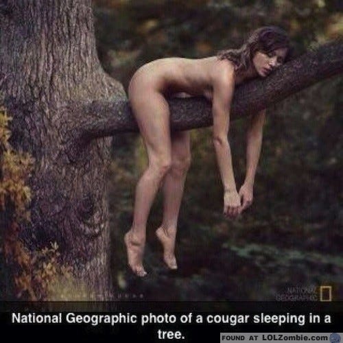 I cougar can woman find a where Where to