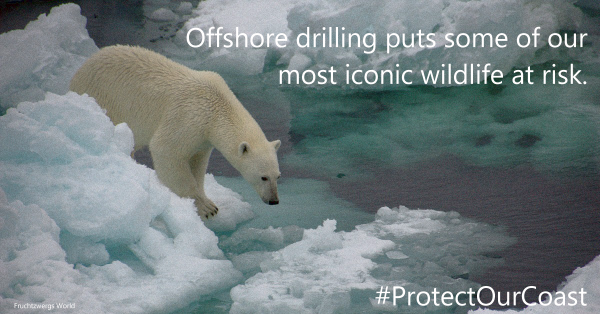 Alaskan Voices Will Not Be Silenced By Big Oil By Pacific Environment Medium