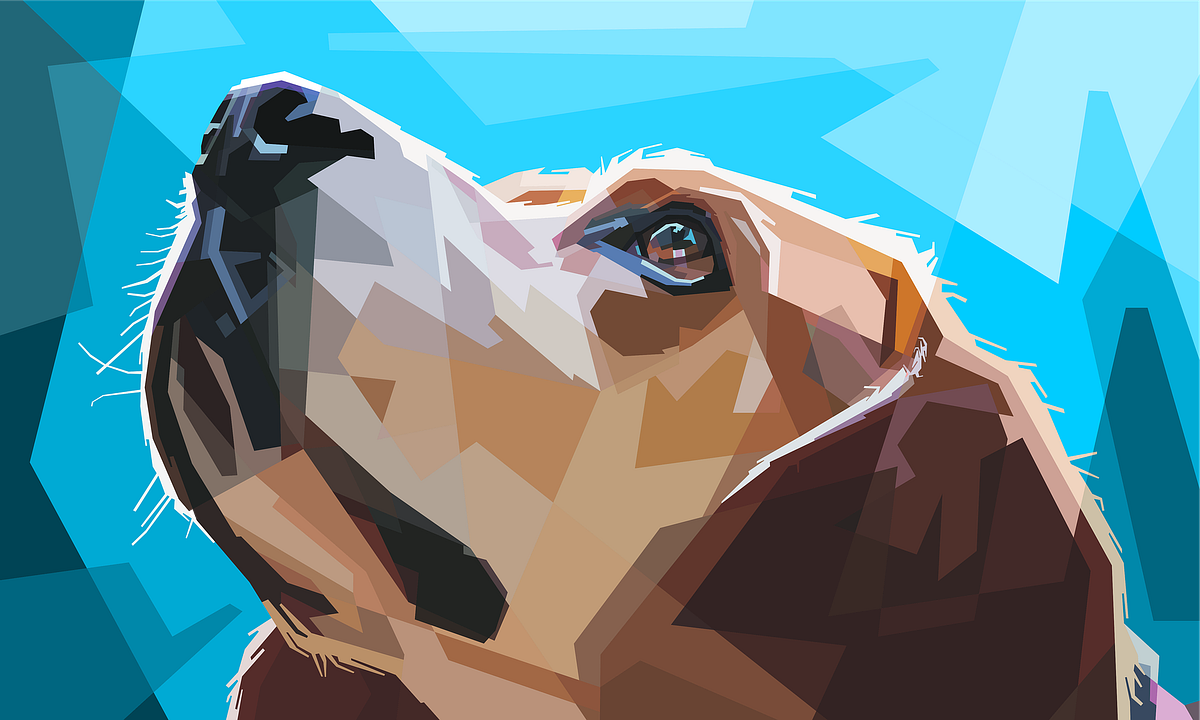 What Happens When A Dog Gets Shocked