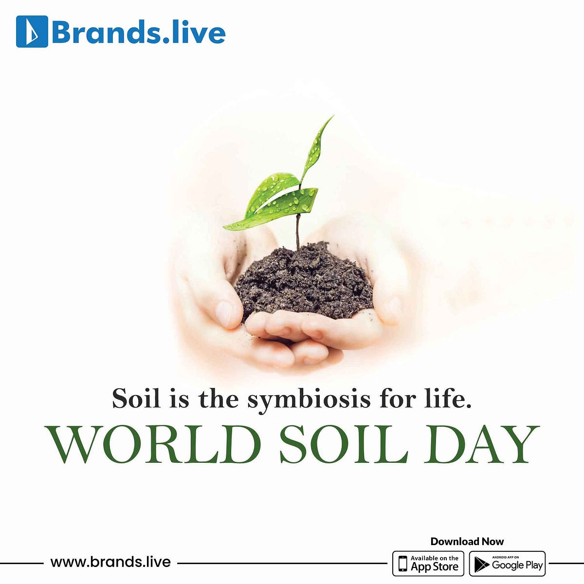 World Soil Day: How Can We Protect It? | by Brands.live | Nov, 2022 | Medium