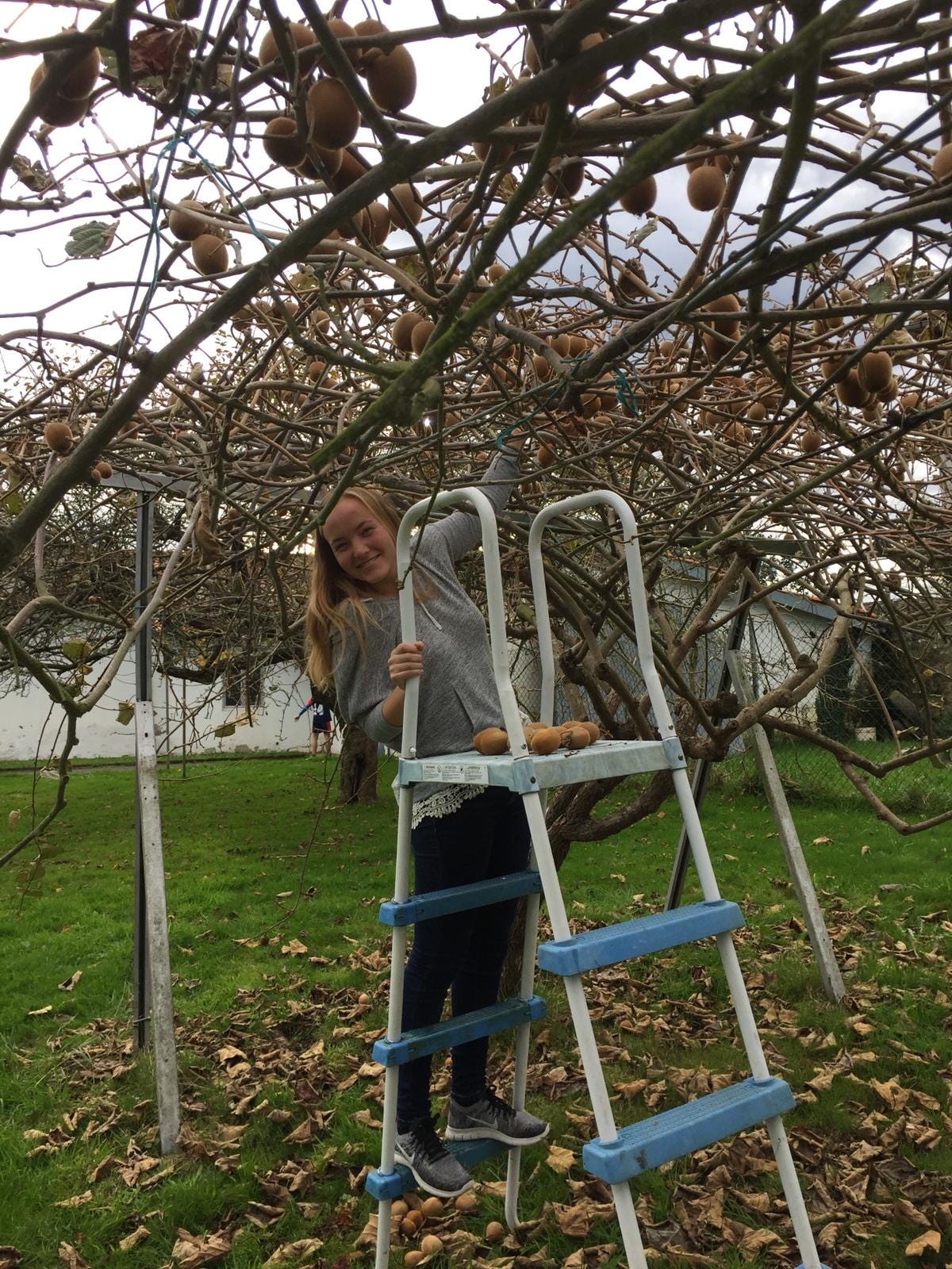 The Great Migration. This short story was submitted by… by UNC CES