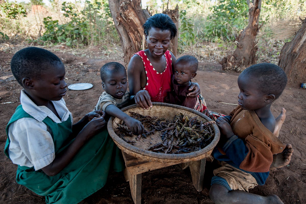 Crianças em situações de crise - UNICEF Portugal - Medium
