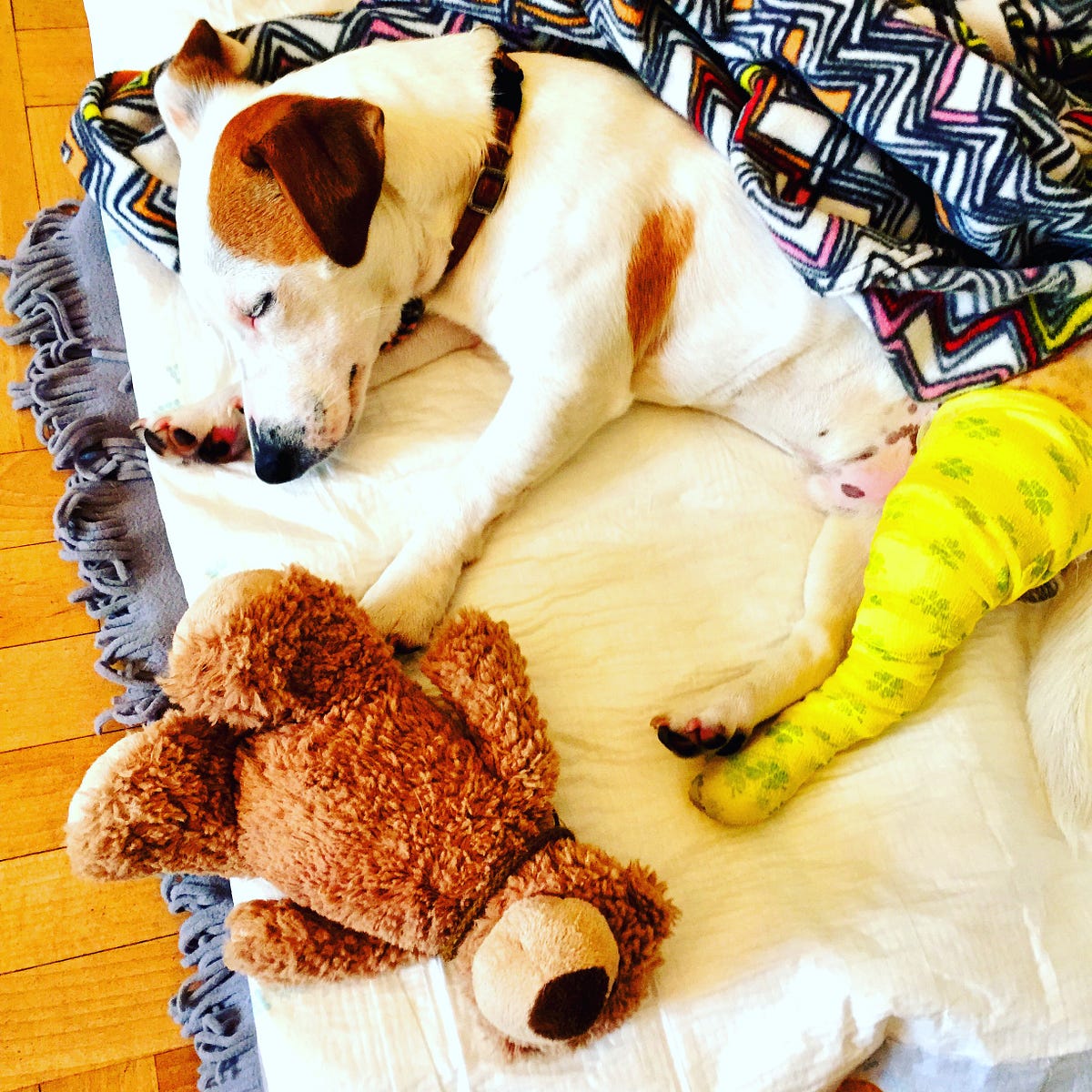 How To Run a Successful Pre-Launch Campaign In 30 Days Or Less