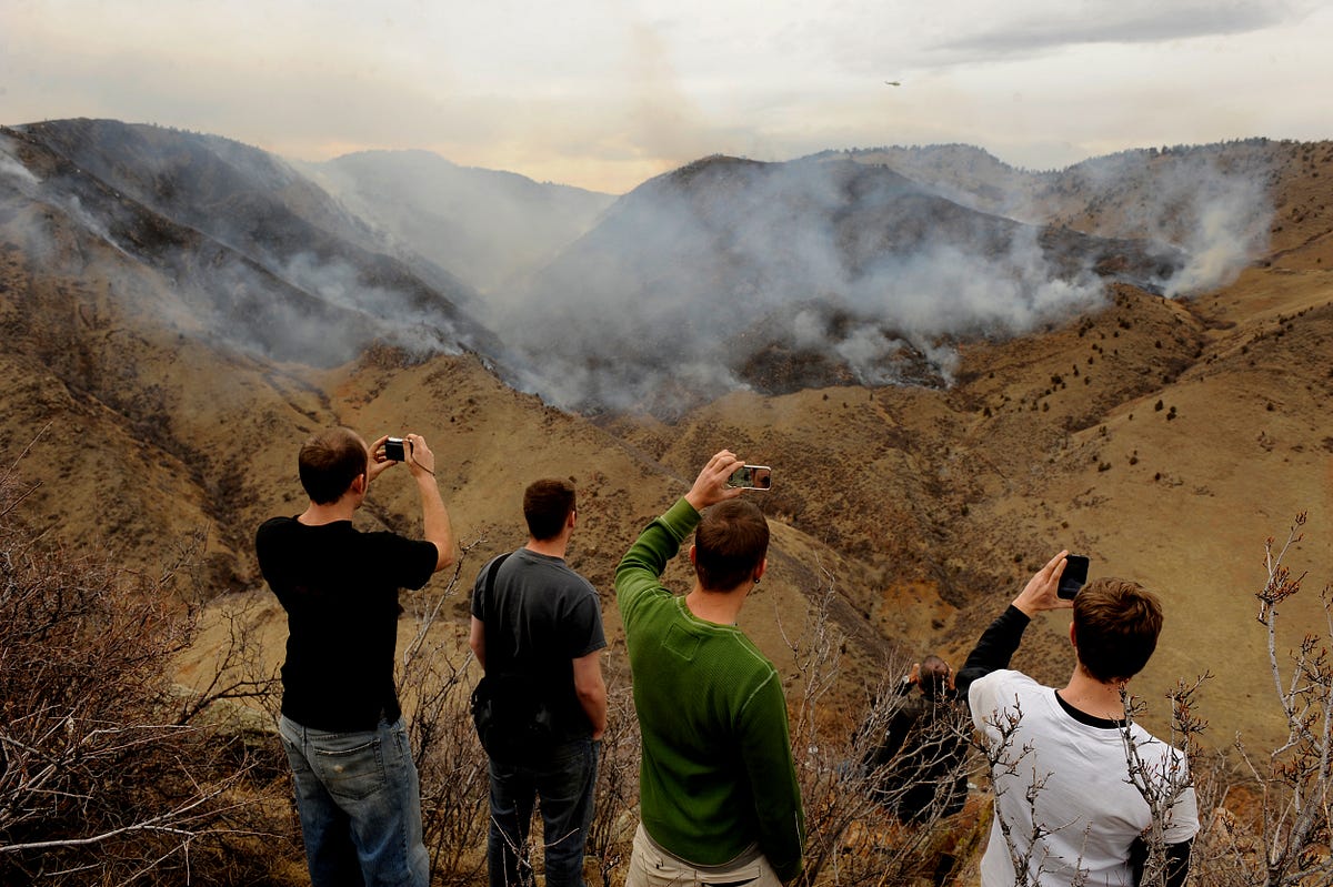 A Quick History Of The People Who Catch Forest Fires At The Beginning By Matt Reimann Timeline