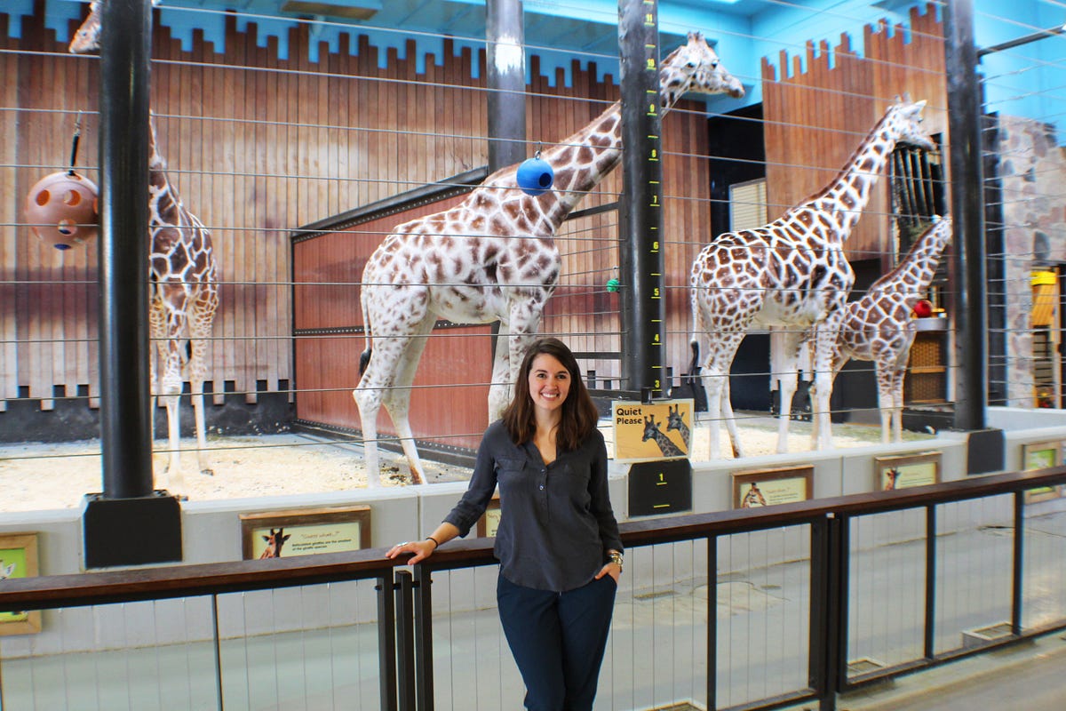 A Career Path Beyond Wildest Expectations From Intern To Full Time Employee At The Zoological Society Of Milwaukee By Marquette University College Of Education Medium