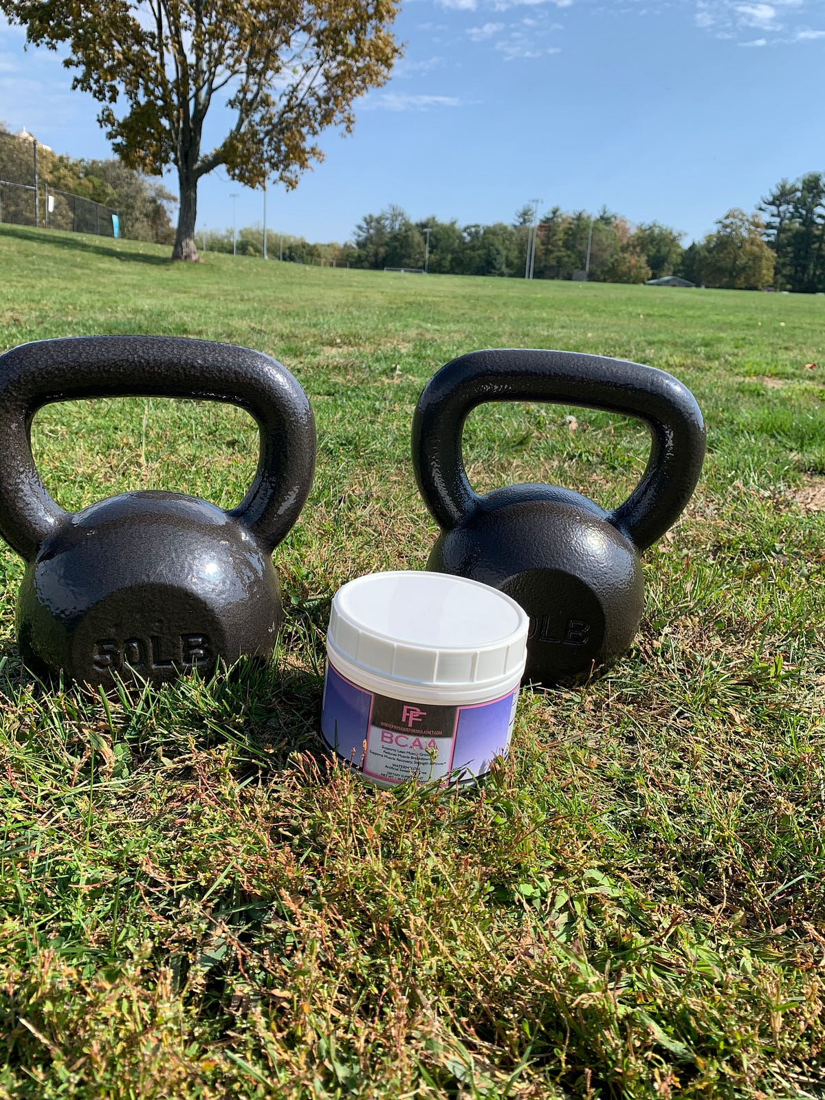 Do BCAAS break intermittent fasting and kick you out of ketosis? by