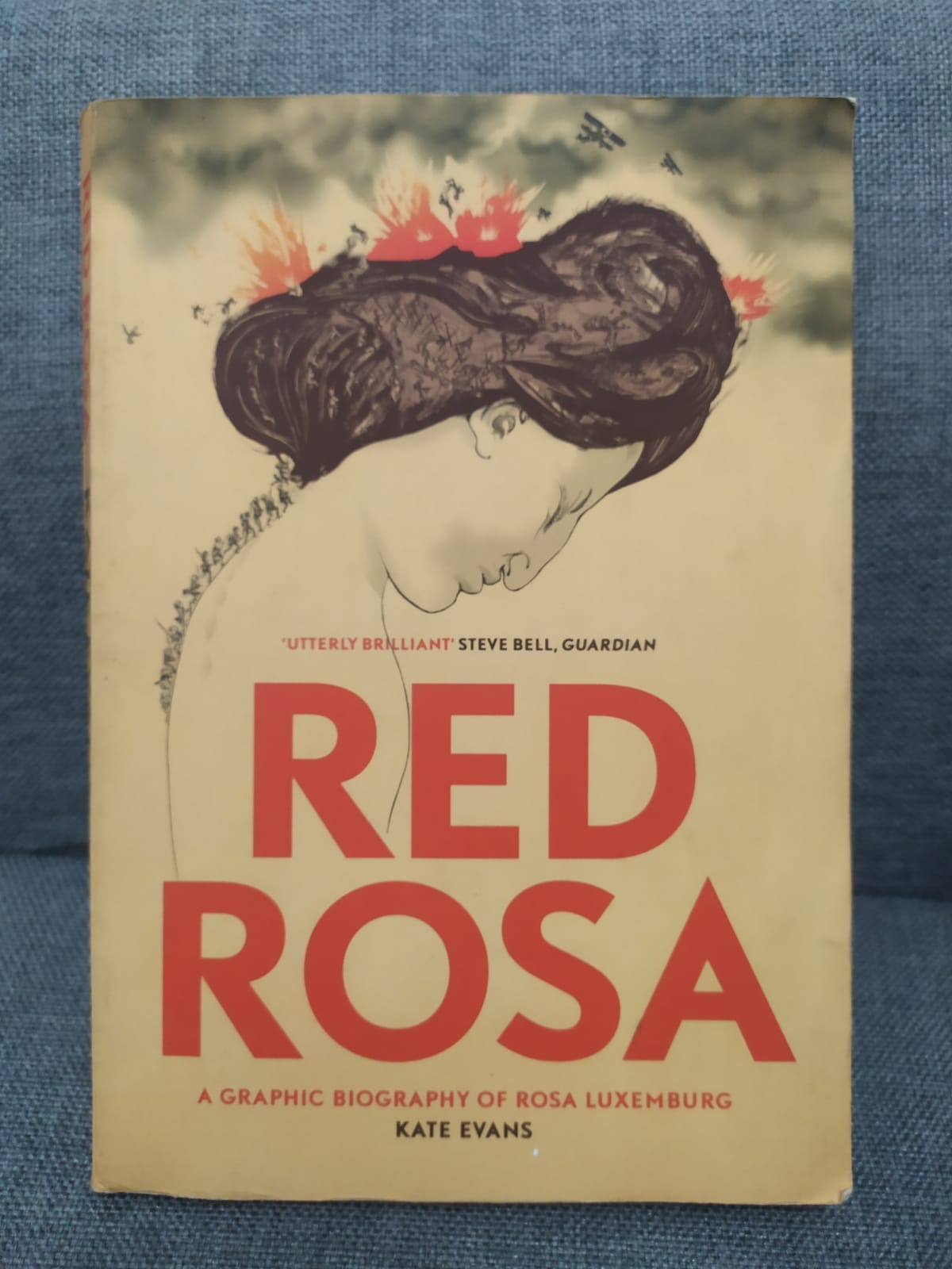 Book Notes (11): Red Rosa, A Graphic Biography of Rosa Luxemburg by Kate  Evans | by Ablaze like flames | Feb, 2022 | Medium