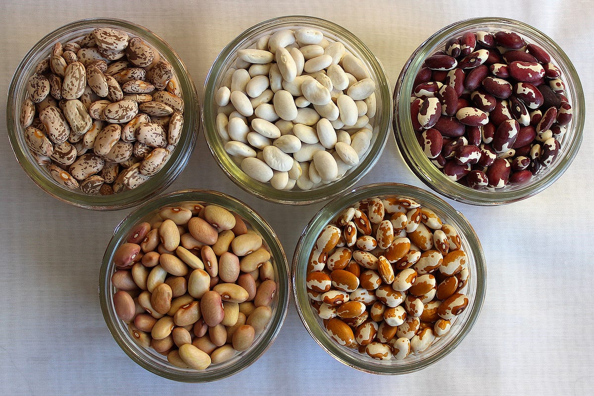From Ancient to Heirloom — The History of the Humble Bean by nan