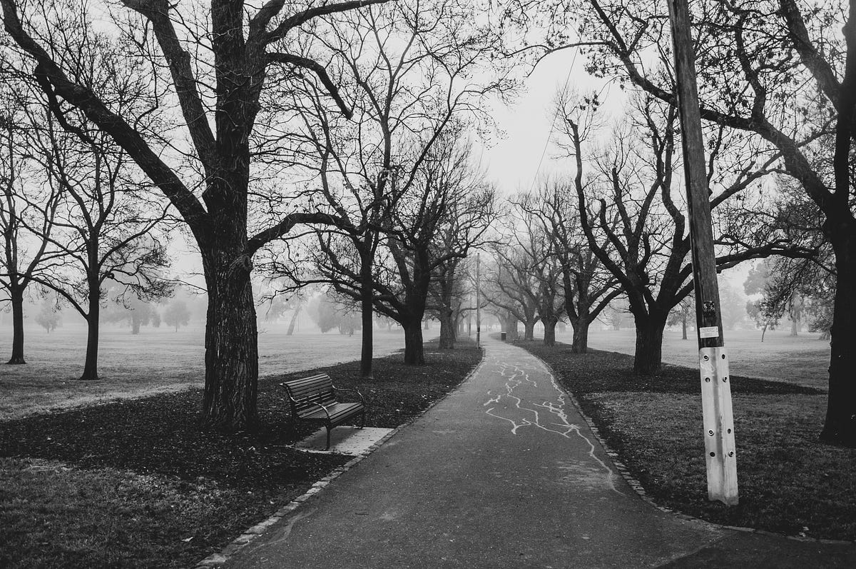 The Future Has Been Cancelled Whether We Like It Or Not Some Of The By Mark Phillips Read About It Medium