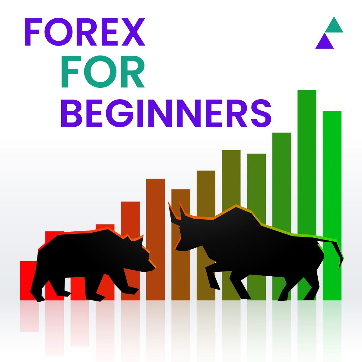 Forex Market for Beginners Expert Guide on Currency Trading and List