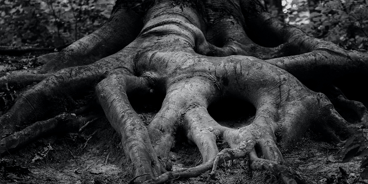 Nissin cup noodles japan flavors image