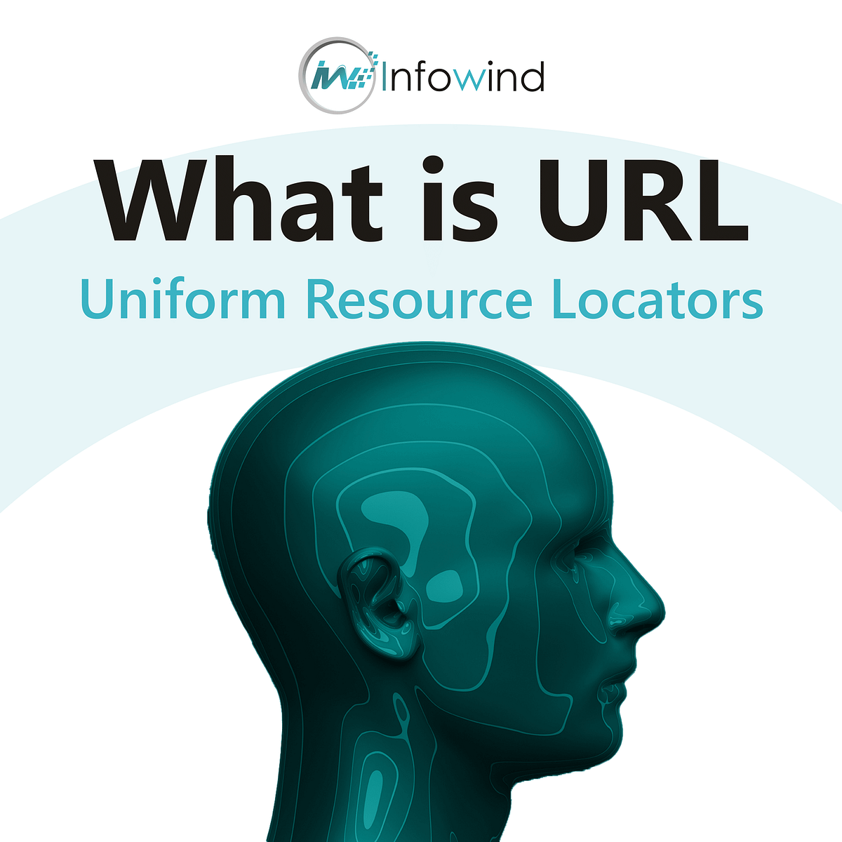 What is URL (Uniform Resource Locators) by Infowind Technologies Medium