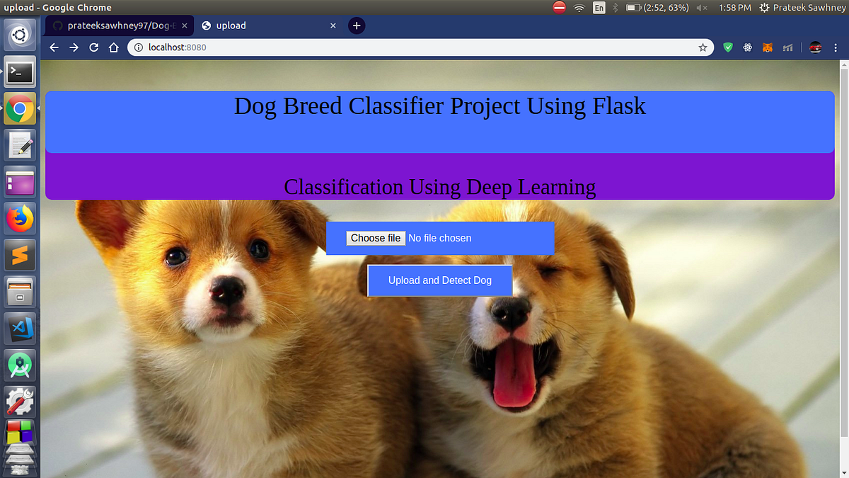 Dog Breed Classification Using Flask