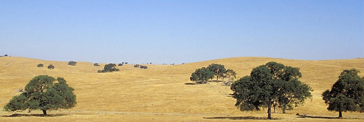 California’s Lying Fields of Gold (2018)