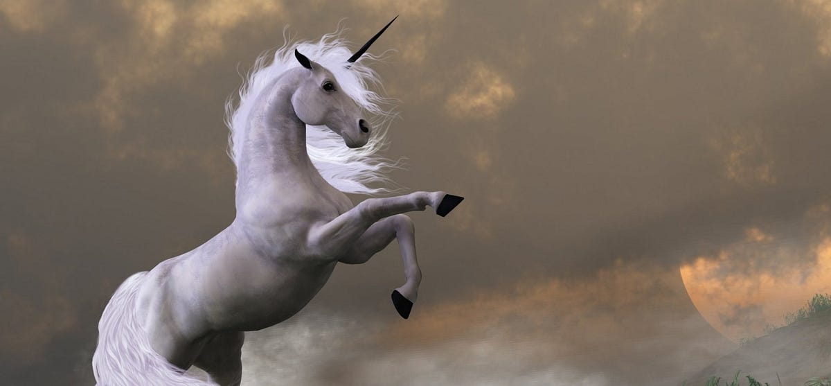 10 Dazzling Rare Qualities of a Unicorn Marketer by Larry Kim
