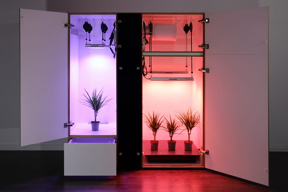 SMART-Growbox Startup from Germany | by Max Schwab | Jan, 2023 | Medium