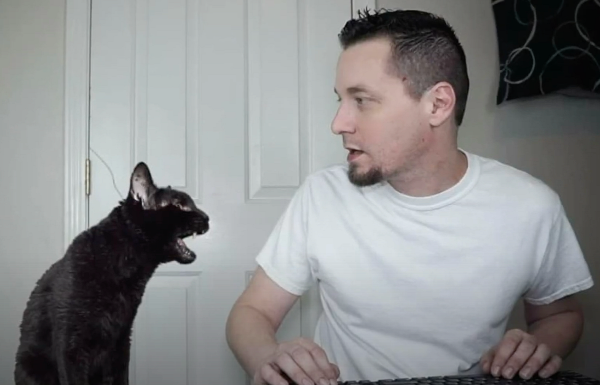 Farewell, Talking Kitty Cat. Steve Cash and Talking Kitty Cat are… | by ...