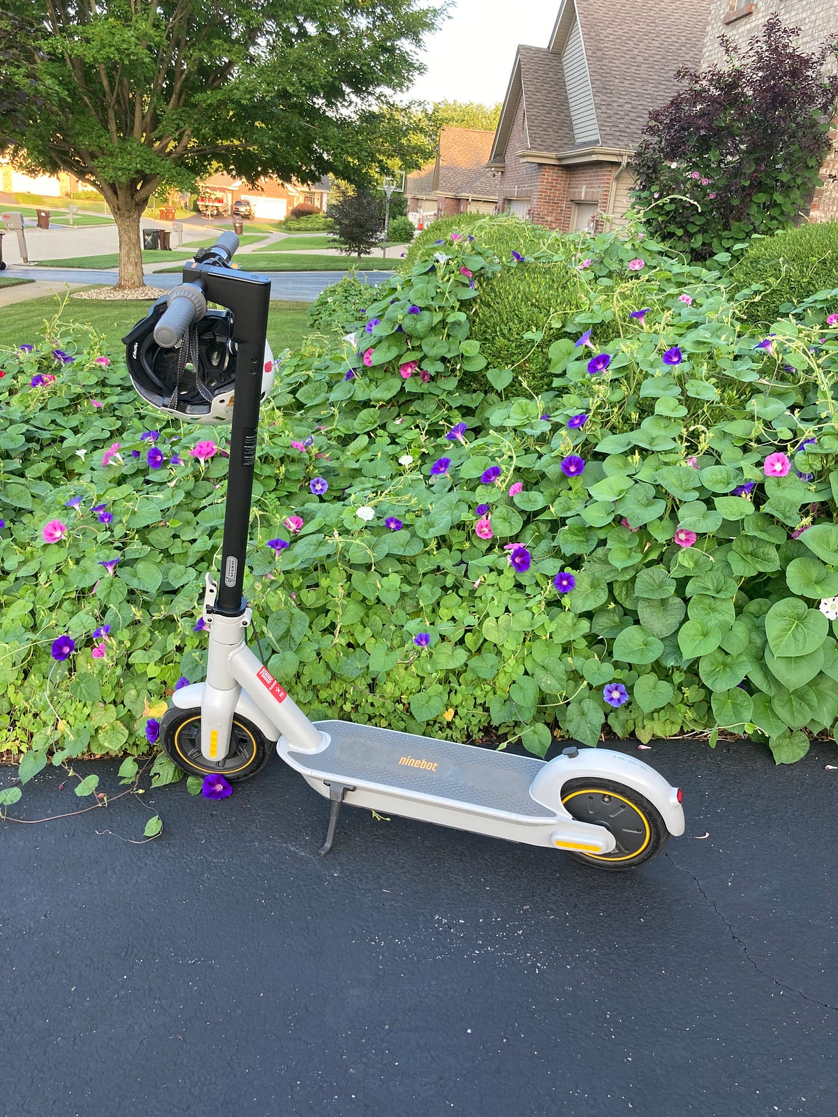 I Love My Electric Scooter. And it looks like I’ll be using it a… by
