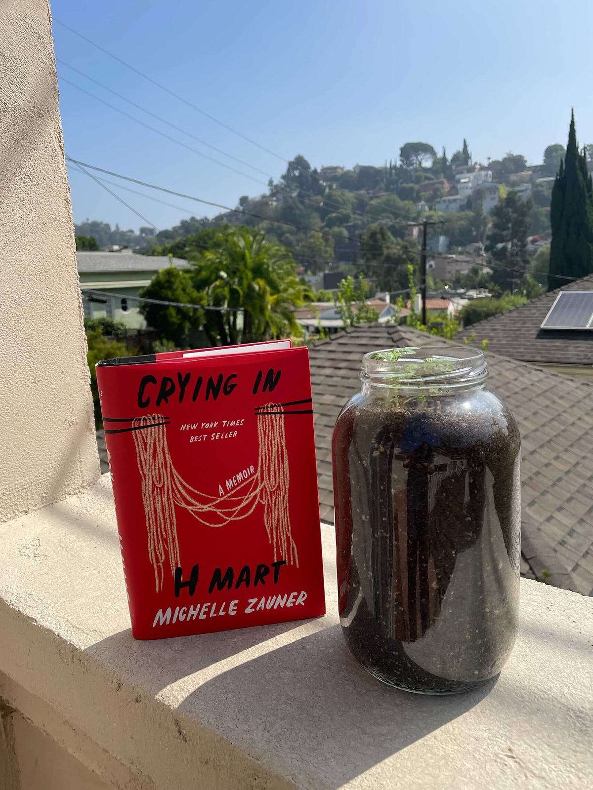 Book Review: Reading Crying in H Mart when you’ve cried in H Mart