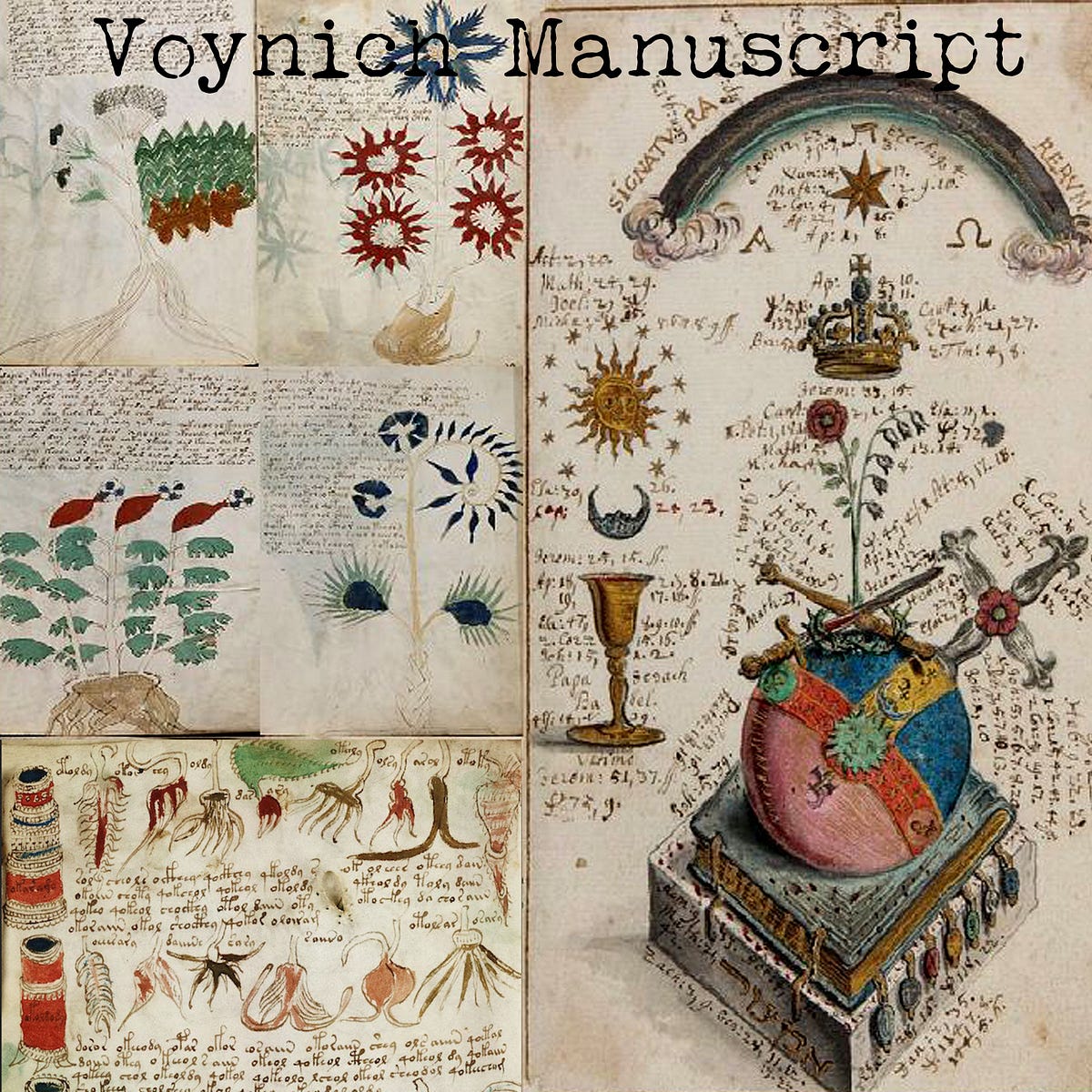 The Enigma of the Voynich Manuscript: Unraveling the Mystery of a Lost Code  by The Enigma 